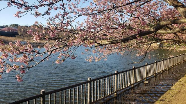 小松ケ池公園