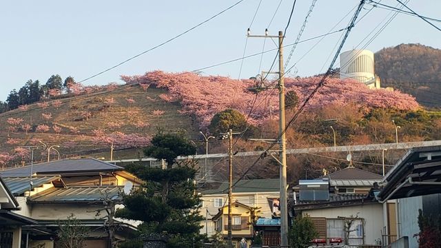 西平畑公園へ向かう途中