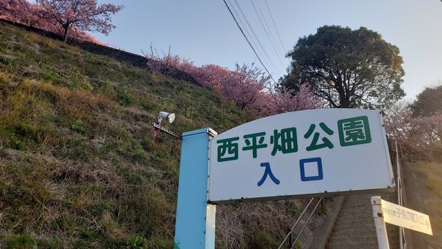 西平畑公園入口