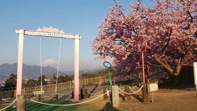 西平畑公園頂上のブランコ/SKY SWING