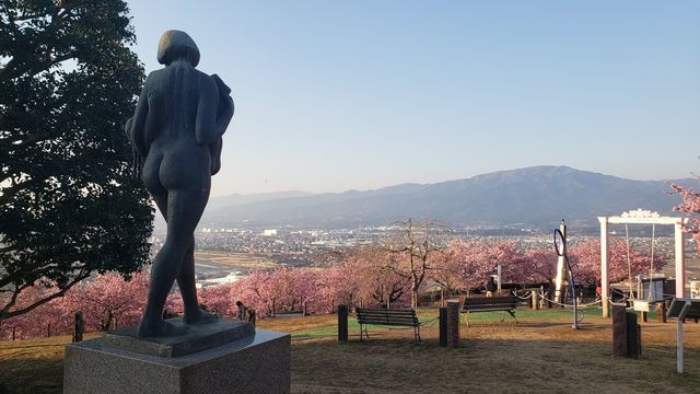 西平畑公園頂上からの眺望