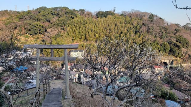 田浦梅の里/大六天神社の鳥居