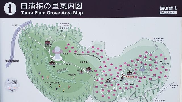 田浦梅の里の案内図