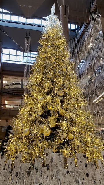 ランドマークタワーのXmasツリー