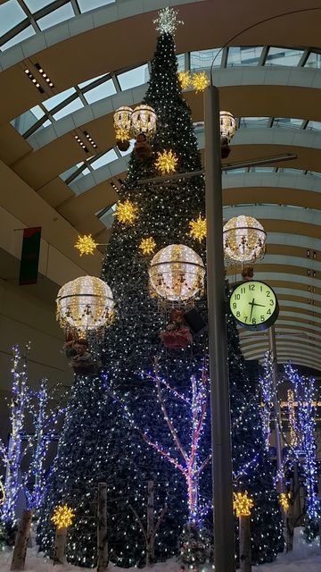 クイーンズスクエアのXmasツリー