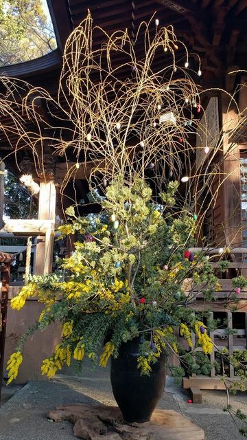 座間神社の生け花