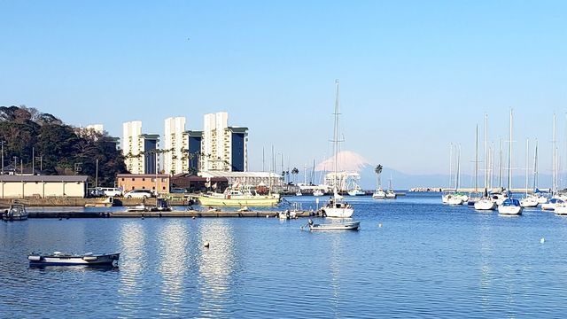 小網代湾から富士山を望む