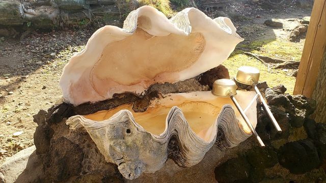 白髭神社の手水舎のオオジャコガイ