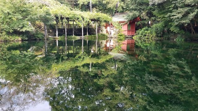 境内社/水屋神社と湧玉池