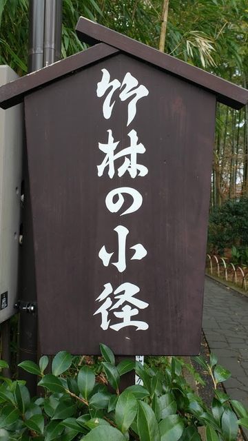 修善寺/竹林の小径