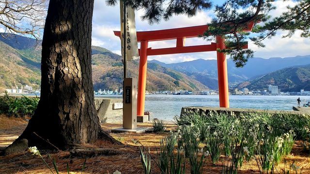 諸口神社の鳥居