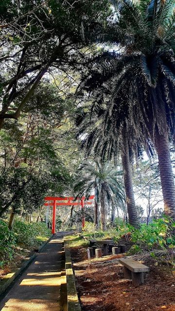 諸口神社の鳥居