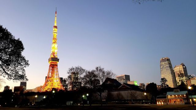 芝公園から東京タワーを望む
