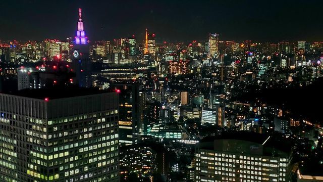 東京都庁北展望室