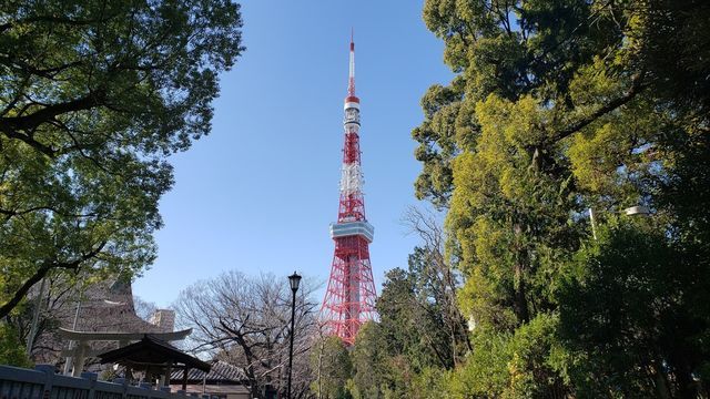 東京タワー