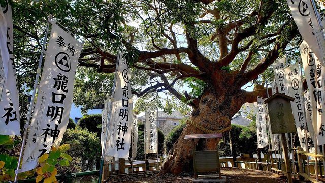 龍口明神社