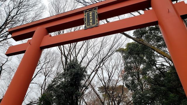 世田谷八幡宮