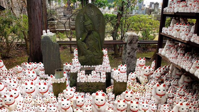 豪徳寺