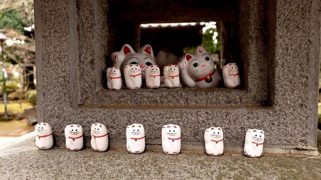 豪徳寺