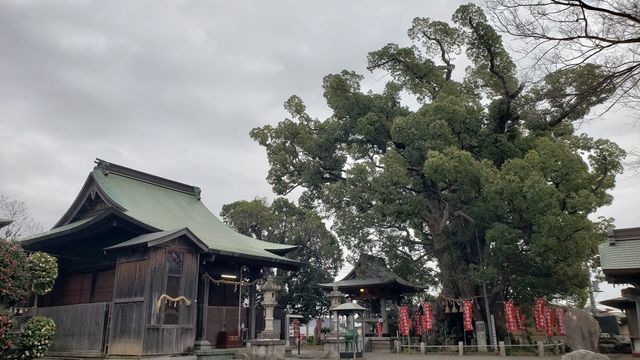 妻田のクスノキ
