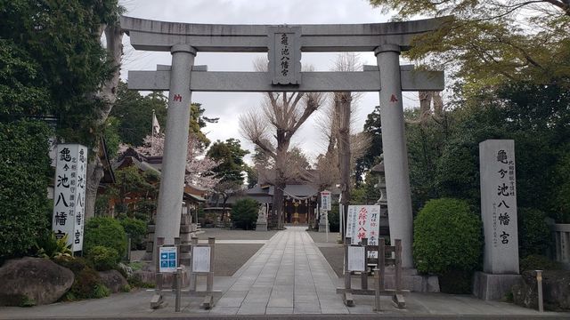 亀ヶ池八幡宮の鳥居