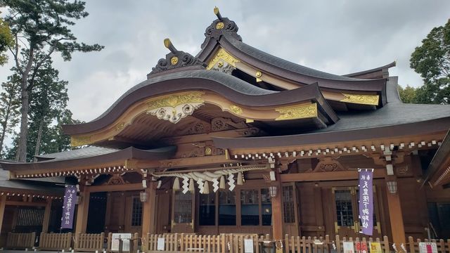 亀ヶ池八幡宮の社殿