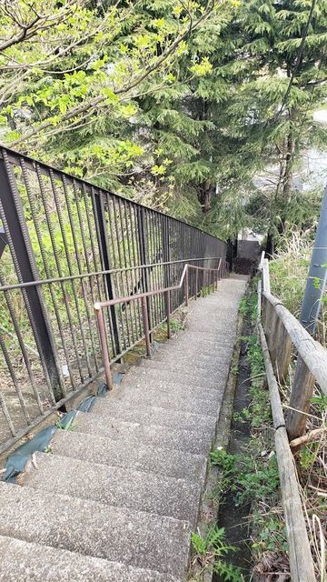 鷹取山公園