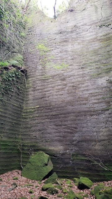 鷹取山公園