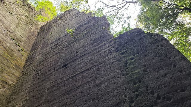 鷹取山公園