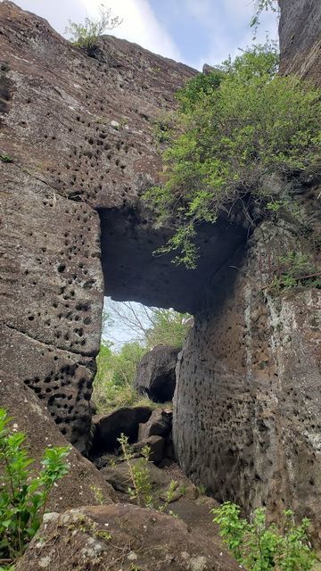 鷹取山公園