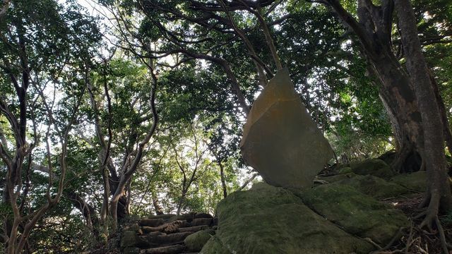 鷹取山公園