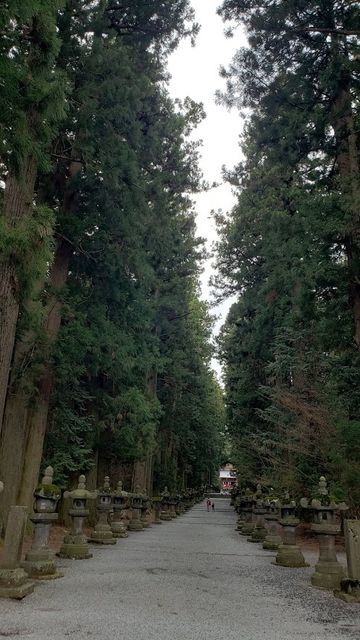 北口本宮浅間神社の参道
