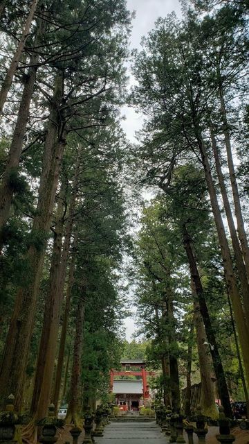 北口本宮浅間神社の参道