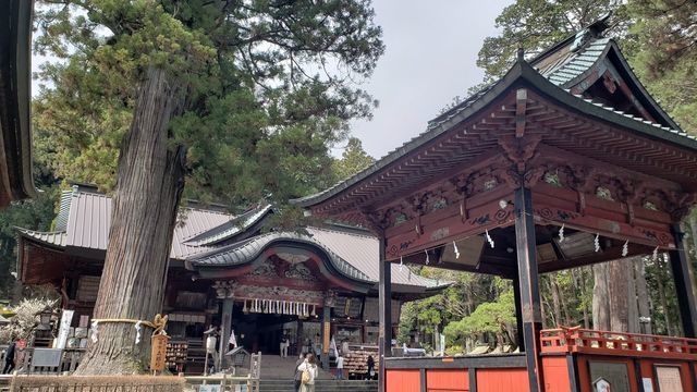 北口本宮浅間神社の本殿と神楽殿