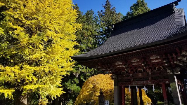 北口本宮浅間神社の境内