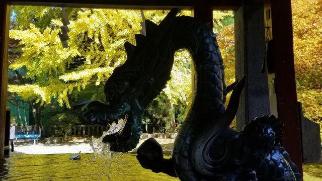 北口本宮浅間神社の手水舎