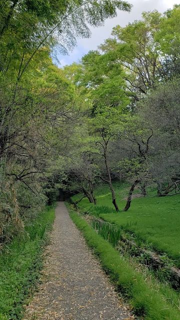 王禅寺