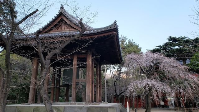 増上寺