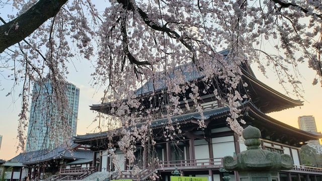 増上寺