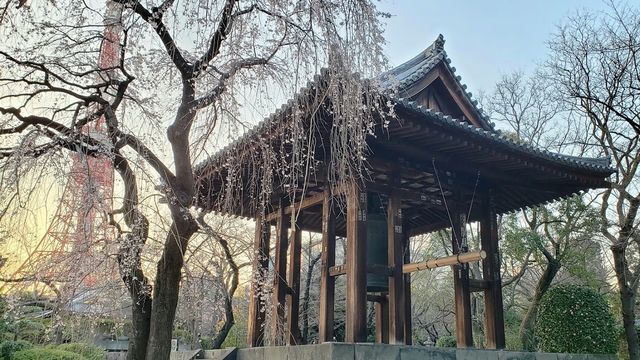 増上寺