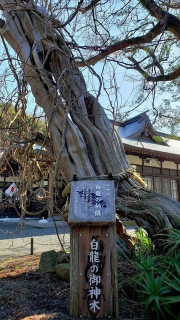 白浜神社