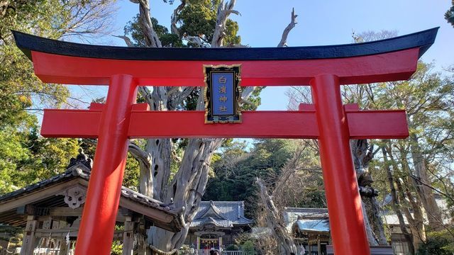 白浜神社