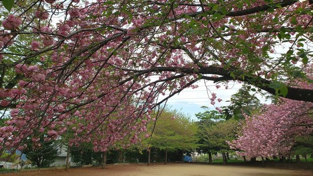 川和八幡神社