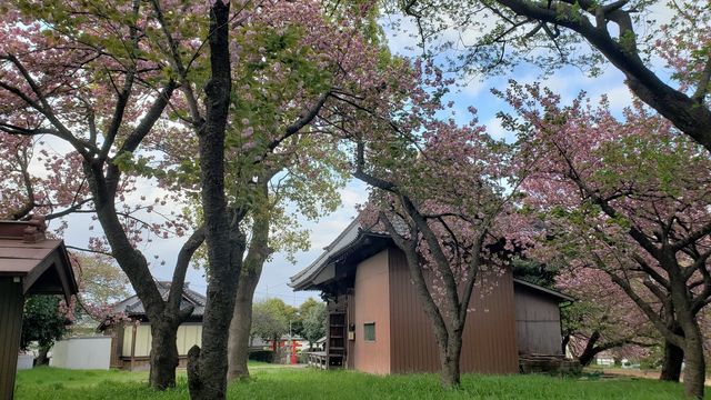川和八幡神社