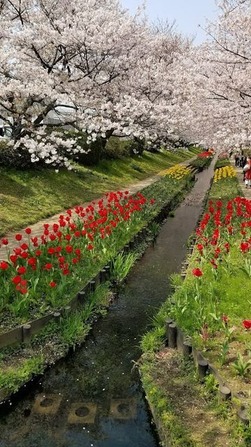 江川せせらぎ緑道