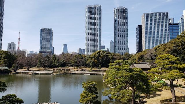 浜離宮恩賜公園