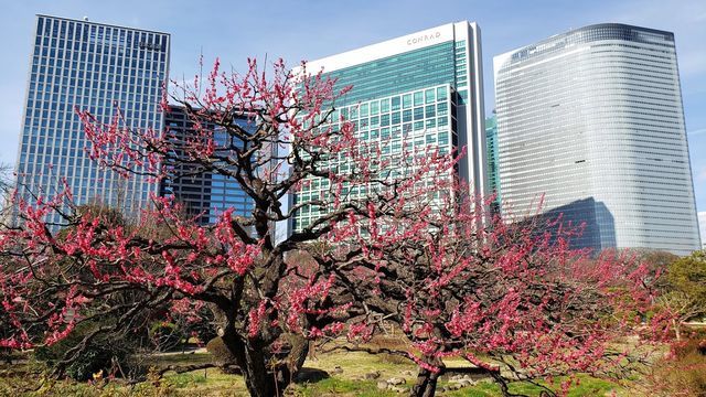 浜離宮恩賜公園