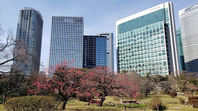 浜離宮恩賜公園