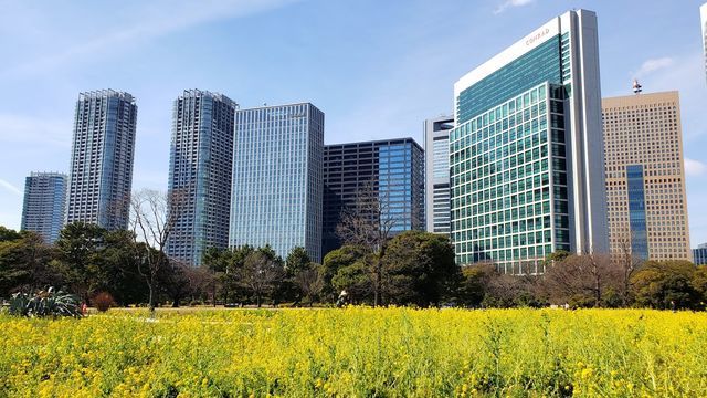 浜離宮恩賜公園