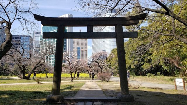 浜離宮恩賜公園